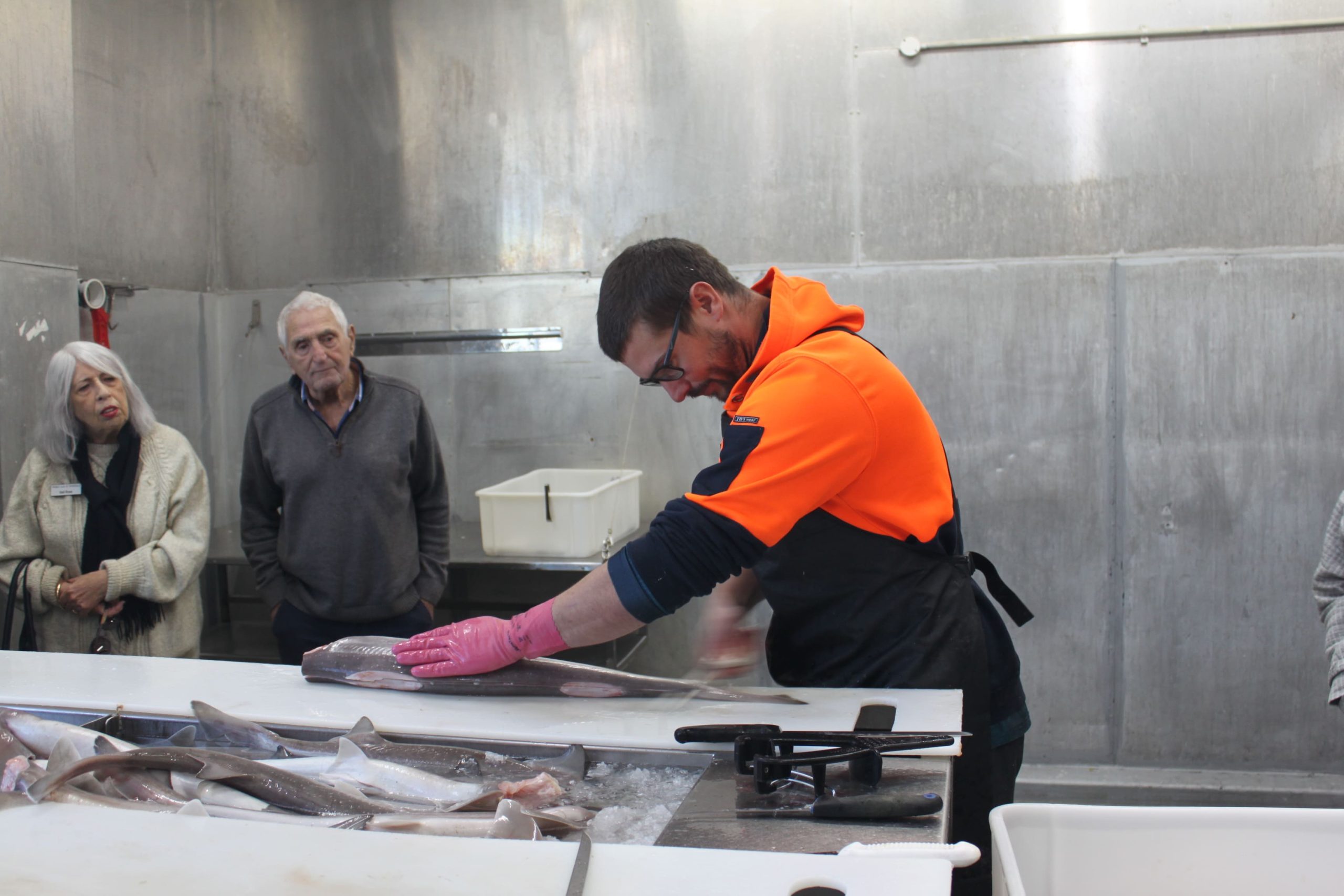 Paynesville_-_fish